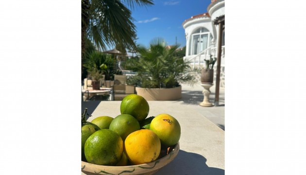 Перепродажа - отдельная вилла - Torrevieja