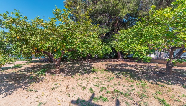 Reventa - Chalet Independiente - San Vicente del Raspeig