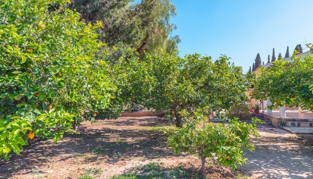 Reventa - Chalet Independiente - San Vicente del Raspeig