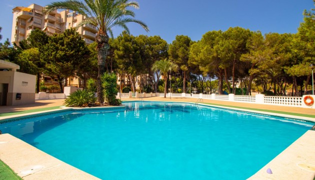 Resale - Apartment - Orihuela Costa - Campoamor