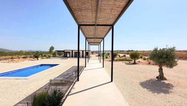 Reventa - Chalet Independiente - Pinoso