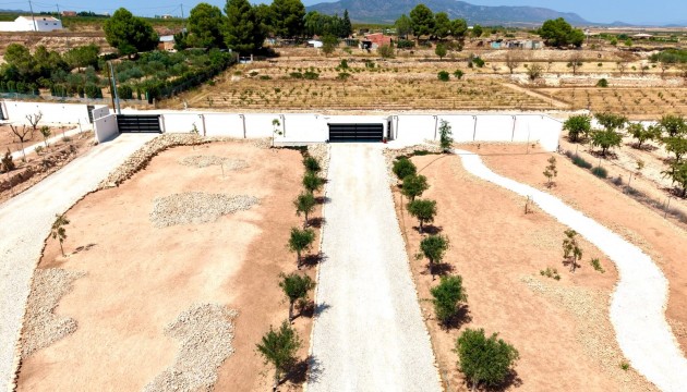 Reventa - Chalet Independiente - Pinoso