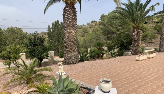 Wiederverkauf - Detached Villa - Algorfa
