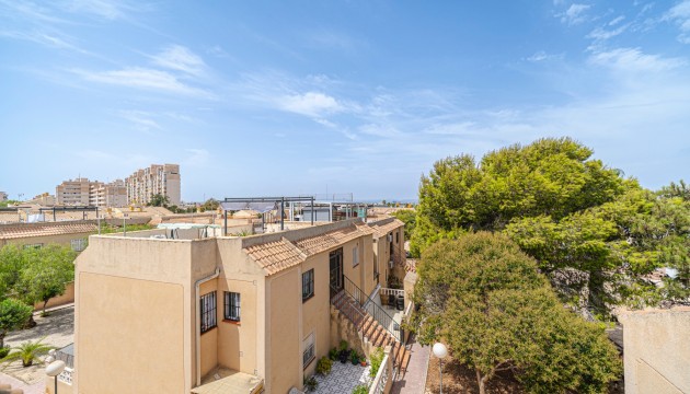Reventa - Apartamento - Torrevieja