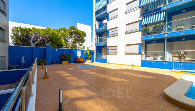 Odsprzedaż - Apartment - Torrevieja - Playa de los Locos