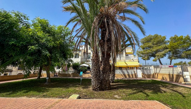 Resale - Bungalow - San Miguel de Salinas