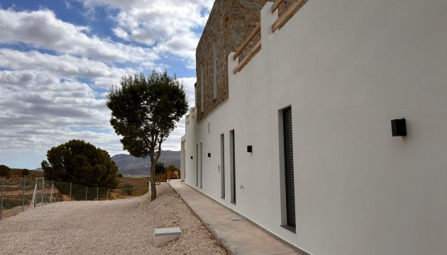 Nybygg - Detached Villa - Pinoso - Casas Pastor