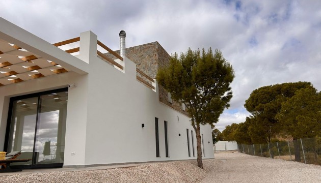 Nybygg - Detached Villa - Pinoso - Casas Pastor
