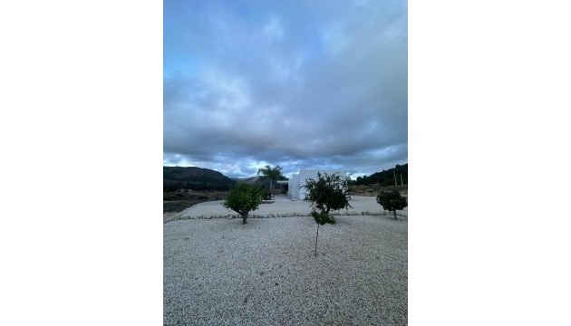 Nybygg - Detached Villa - Pinoso - Casas Pastor