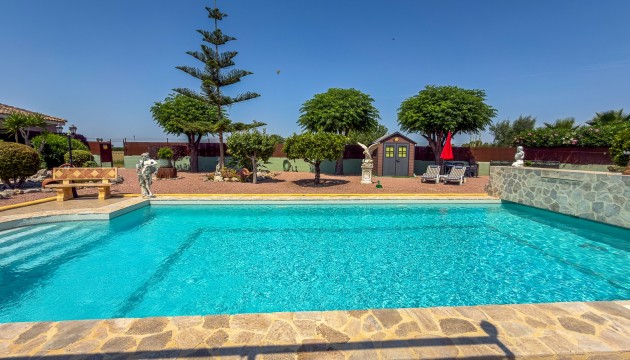 Reventa - Chalet Independiente - Catral