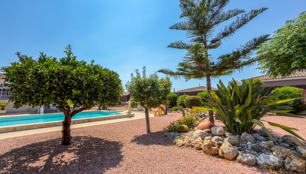 Reventa - Chalet Independiente - Catral