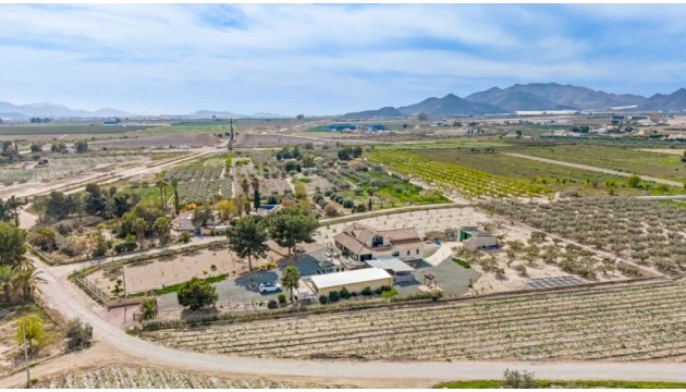 Reventa - Chalet Independiente - Puerto Lumbreras - Esparragal de Puerto Lumbreras