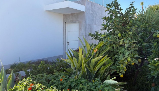 Odsprzedaż - Detached Villa - Torrevieja - La Siesta - El Salado -  Torreta