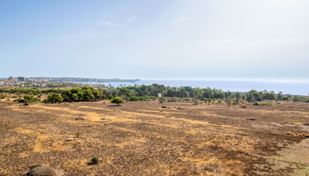 Resale - Apartment - Orihuela Costa - Punta Prima