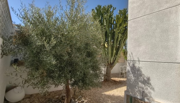 Resale - Detached Villa - San Miguel de Salinas - Villamartín