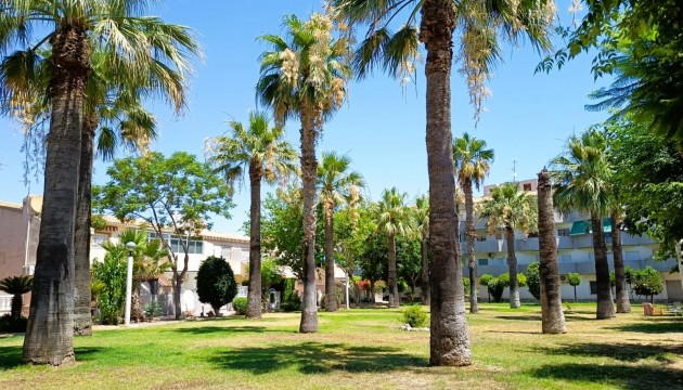 Wiederverkauf - Bungalow - Orihuela Costa - Cabo Roig