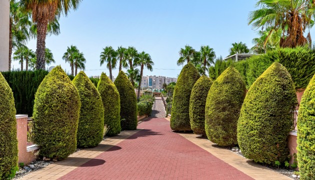 Wiederverkauf - Apartment - Orihuela Costa - Playa Flamenca