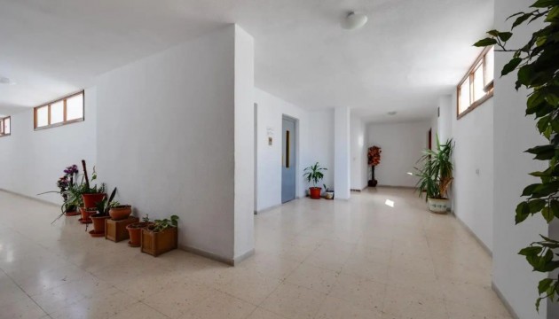 Begagnad - Lägenhet - Torrevieja