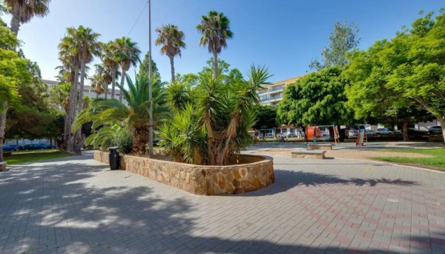 Begagnad - Lägenhet - Torrevieja