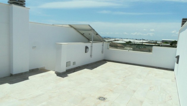 Nowy budynek - Detached Villa - Pilar de la Horadada