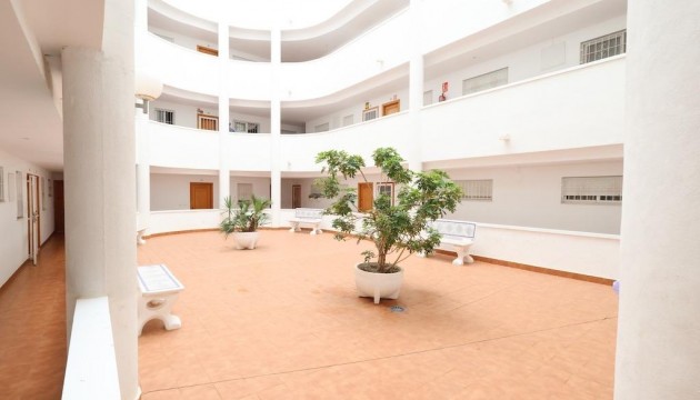 Odsprzedaż - Apartment - Torrevieja