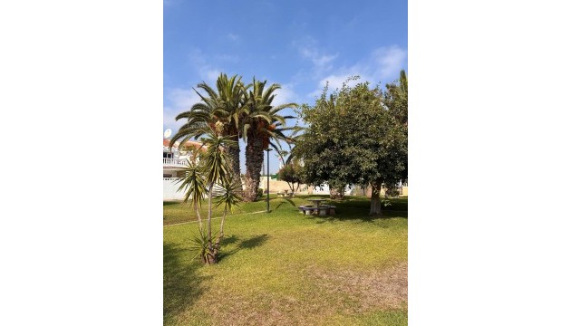 Herverkoop - Apartment - Orihuela Costa
