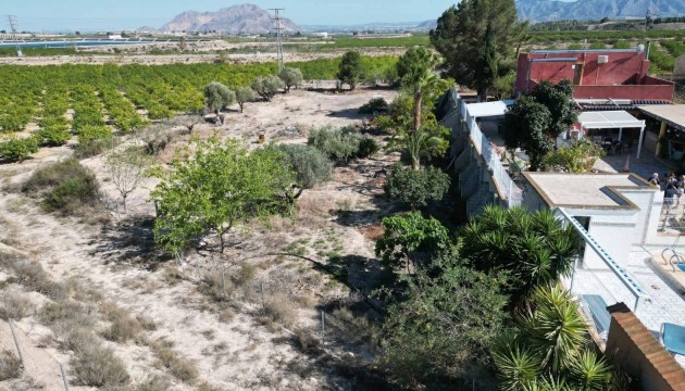 Перепродажа - деревенский дом - Orihuela