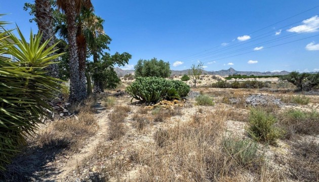 Перепродажа - деревенский дом - Orihuela