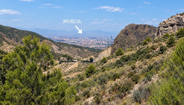 Resale - Detached Villa - Murcia