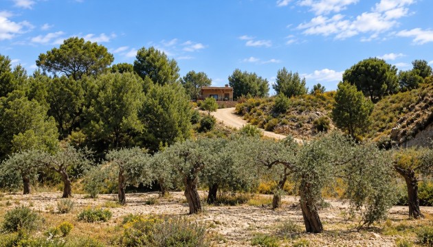 Resale - Detached Villa - Murcia