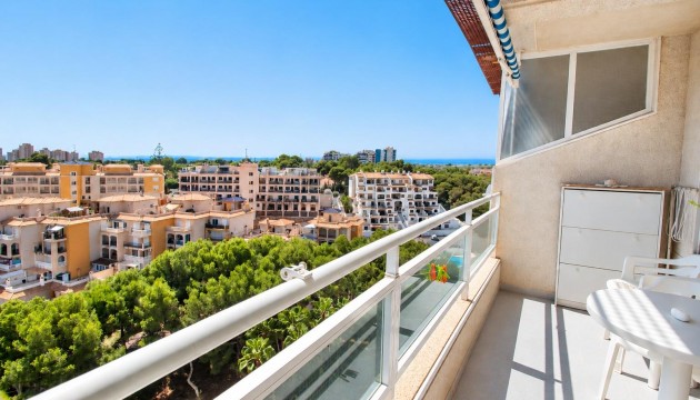Odsprzedaż - Apartment - Orihuela Costa - Dehesa de campoamor