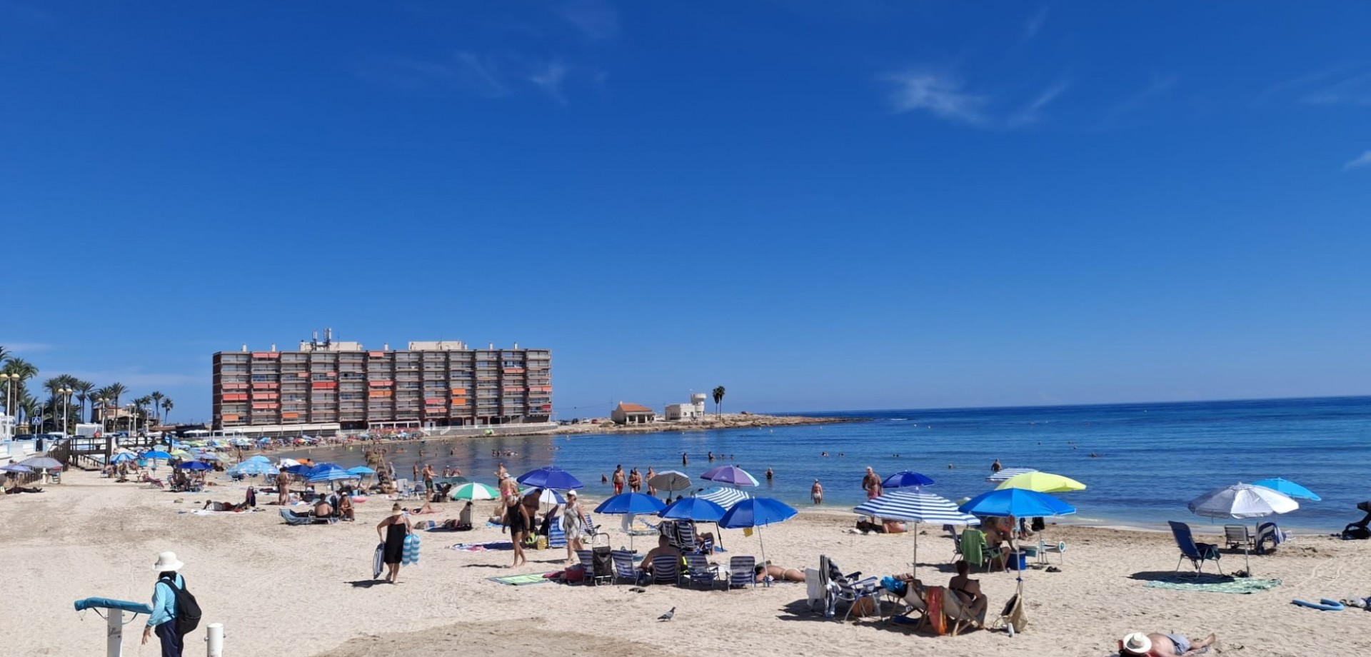 Apartment in Torrevieja - Image 3