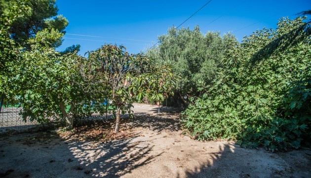 Videresalg - House - Orihuela Costa - Redován