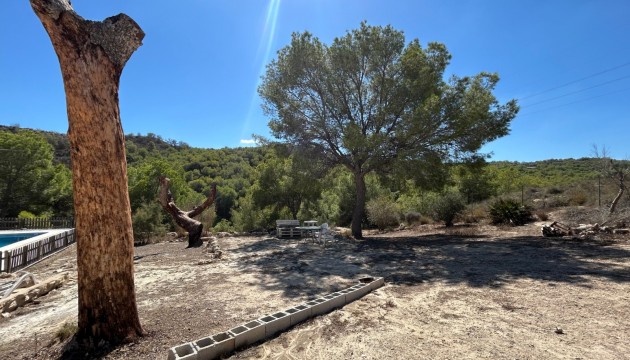 Reventa - Finca - Torremendo