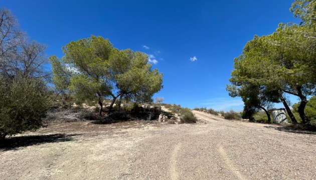 Reventa - Finca - Torremendo