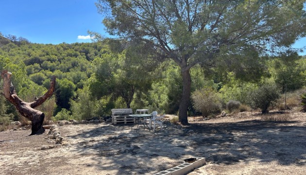 Reventa - Finca - Torremendo
