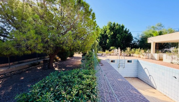 Reventa - Chalet Independiente - Crevillente