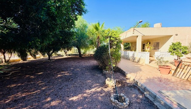 Reventa - Chalet Independiente - Crevillente