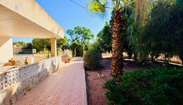 Reventa - Chalet Independiente - Crevillente