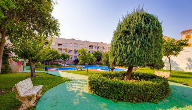 Reventa - Apartamento - Torrevieja - El Acequión - Los Náufragos