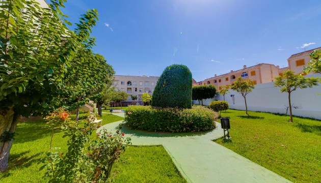 Reventa - Apartamento - Torrevieja - El Acequión - Los Náufragos