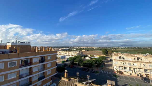 Long Term Rental - Apartment - Formentera del Segura - Los Palacios