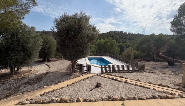Reventa - Finca - Torremendo