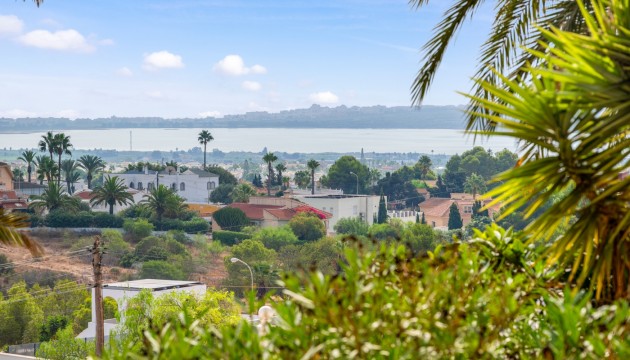 Wiederverkauf - Detached Villa - Ciudad Quesada - Rojales