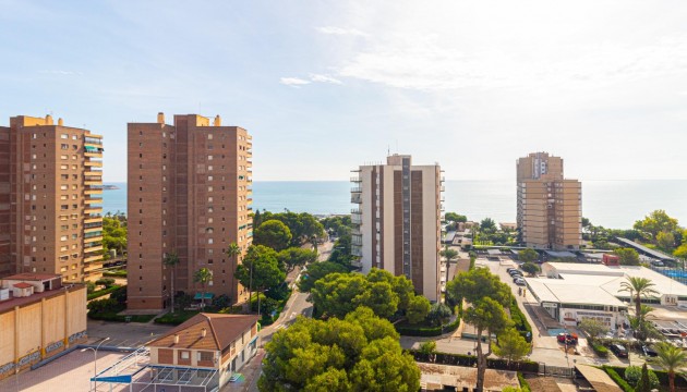 Videresalg - Leilighet - Orihuela Costa - Campoamor