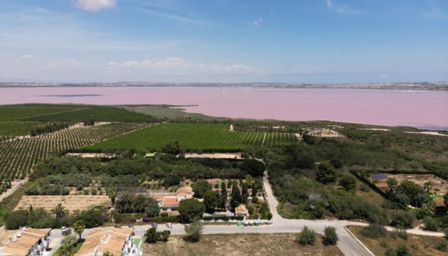 Wiederverkauf - town_house - Torrevieja - Los Balcones - Los Altos del Edén