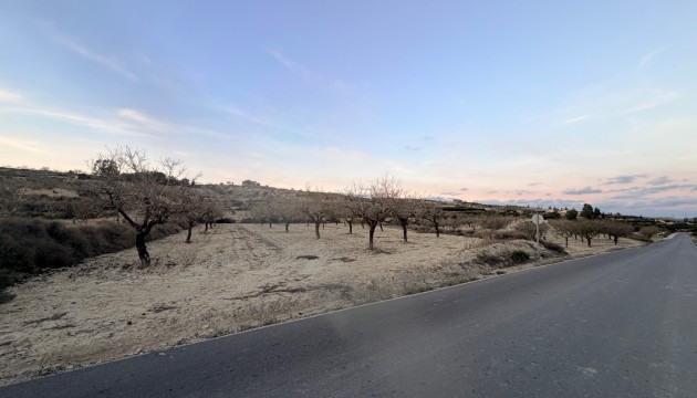 Odsprzedaż - Działka / Grunt - Torremendo - Costa Blanca