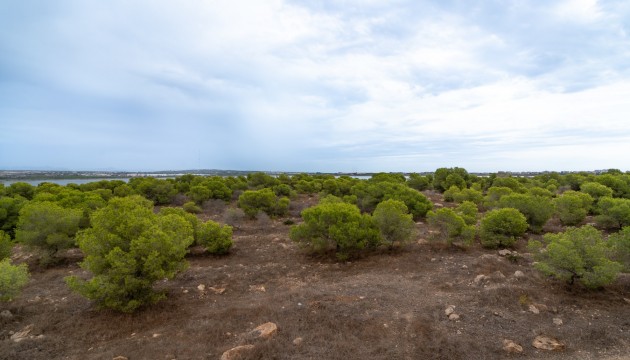 Odsprzedaż - Apartment - Torrevieja - La Siesta - El Salado -  Torreta