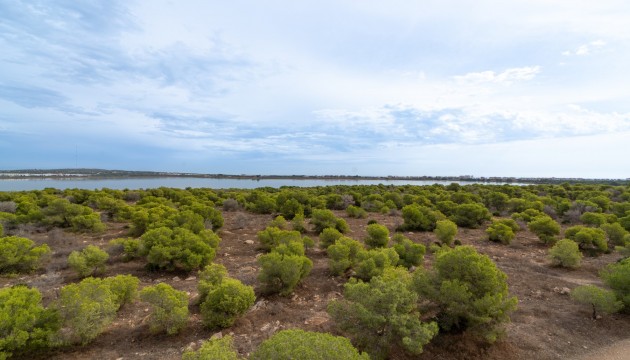 Odsprzedaż - Apartment - Torrevieja - La Siesta - El Salado -  Torreta