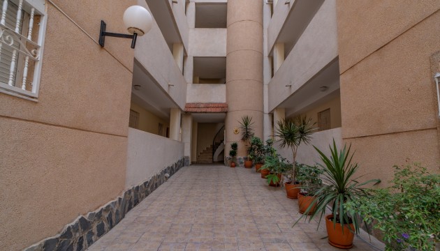 Odsprzedaż - Apartment - Torrevieja - La Siesta - El Salado -  Torreta